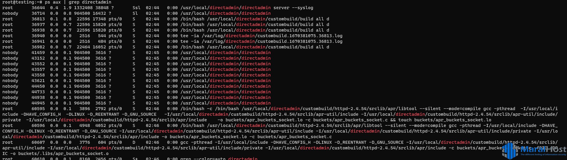 Build کردن سرویس‌ها در دایرکت ادمین (DirectAdmin)