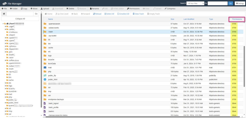تغییر و فیکس کردن پرمیژن ها در سی پنل (cPanel)