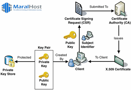 رفع مشکلات مربوط به SSL