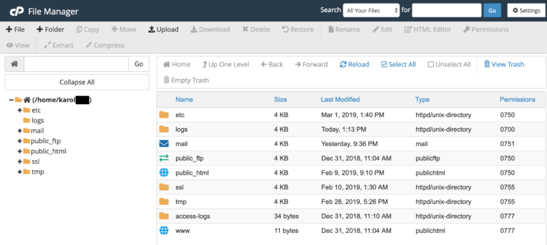 مدیرت فایل ها و پوشه ها در دایرکت ادمین سی پنل و پلسک