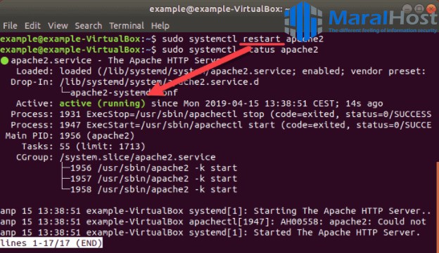 نصب SourceGuardian روی سرورهای لینوکسی