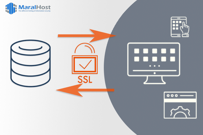 ترتیب مفهومی نصب و استفاده از SSL در cPanel & WHM