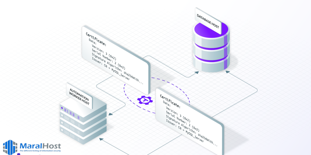 پیکربندی اتصالات SSL در MySQL
