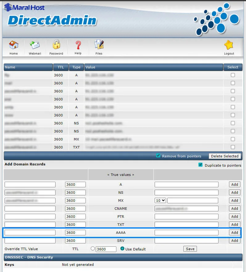 تنظیم DNS AAAA Records برای IPv6
