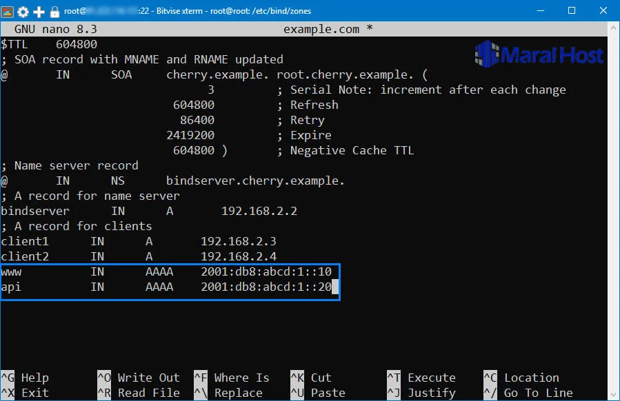 تنظیم DNS AAAA Records برای IPv6