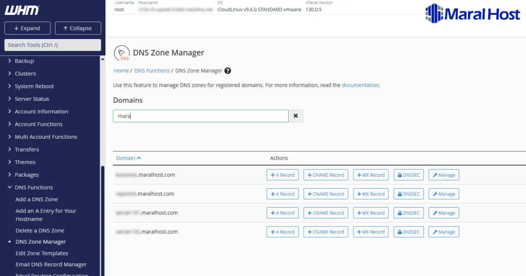 تنظیم DNS AAAA Records برای IPv6