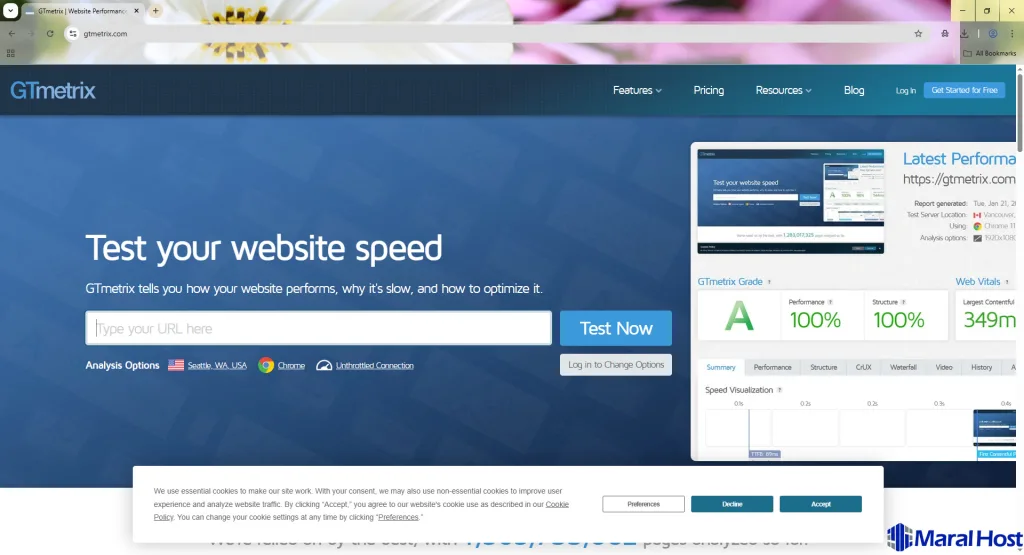مقاله کامل و جامع رفع کندی سایت وردپرسی در سرورهای ایران (cPanel + AlmaLinux 9)