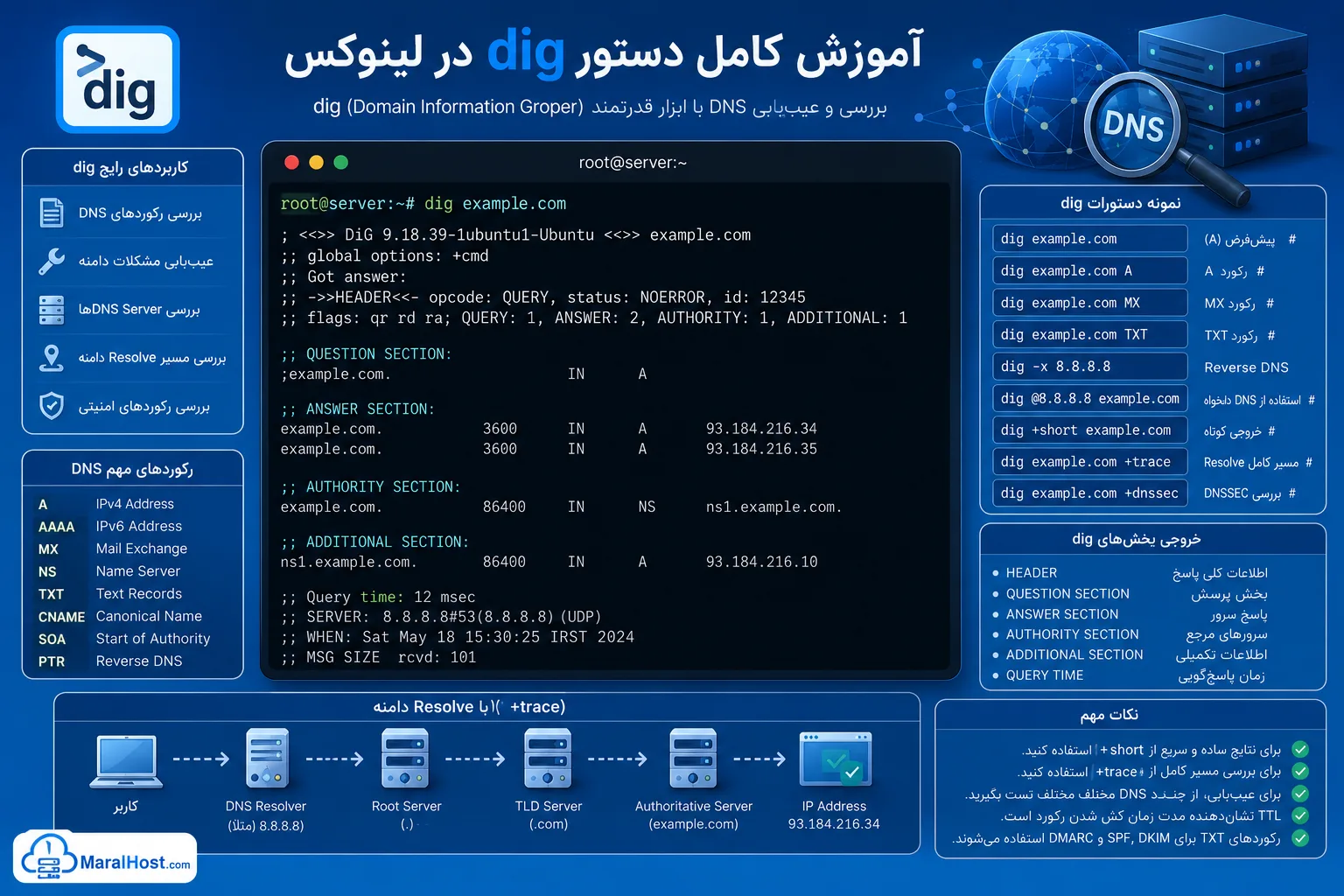 آموزش کامل dig