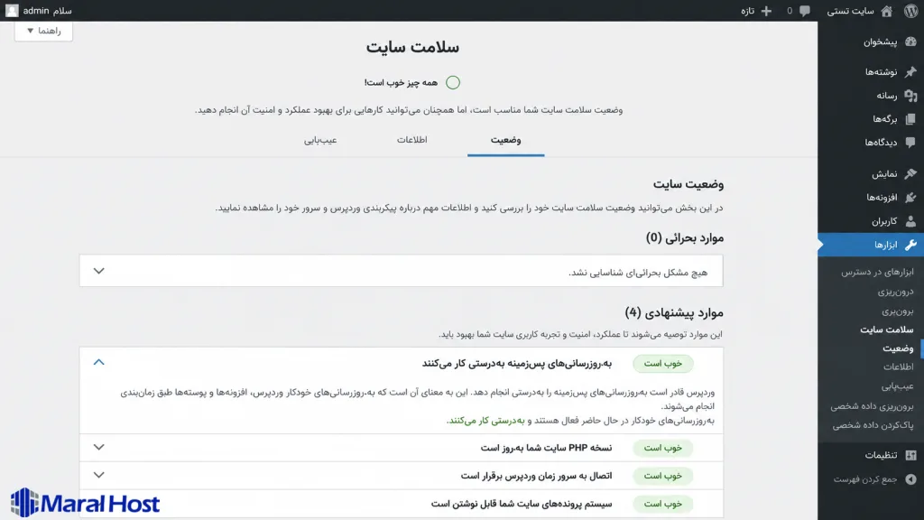 site-health-Automatic-Updates