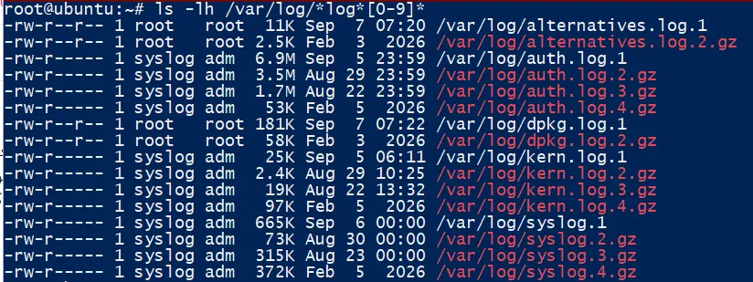 آموزش بررسی فایل‌های لاگ در /var/log لینوکس